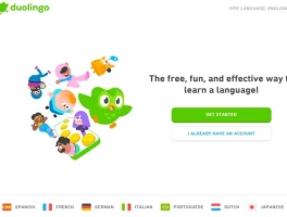 Duolingo Stock Plunge: Light Guidance and User Growth – What Reddit is Saying