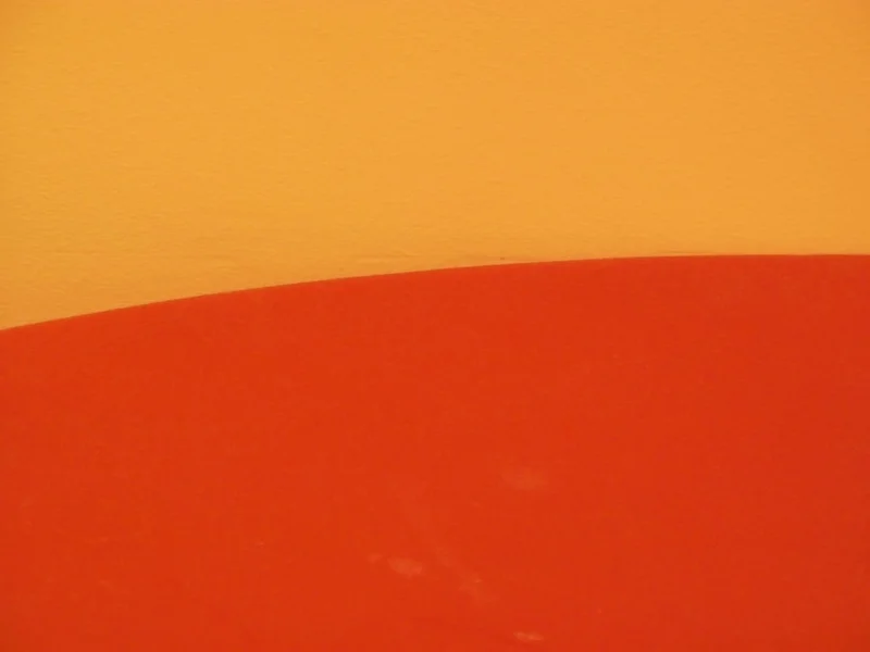 The $2000 Tariff Dividend: A Radical New Idea for the American Economy?