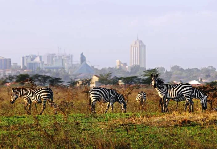 Nairobi: What's the Current Time and Why Does It Matter?
